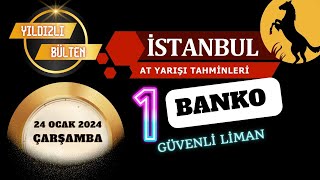 24 Ocak 2024 Çarşamba İstanbul At Yarışı Tahminleri [upl. by Shaia784]