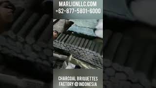 briquettes vs lump 👉 coconut shell charcoal manufacture briquettesfactoryHpWA 6287758016000 [upl. by Nuahsyd]