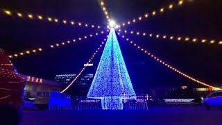 DAMOSA LANANG DAVAO CITY  CHRISTMAS LIGHTS AND CHRISTMAS TREE [upl. by Kcirre]