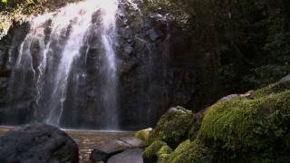 Millaa Millaa amp Surrounds travel video guide Queensland Australia [upl. by Dickson]