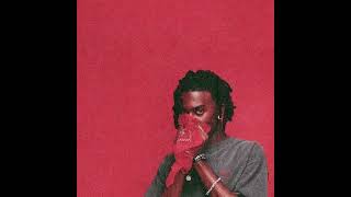 Playboi Carti MollyNot Real Destxmido Extended Remix [upl. by Elish532]