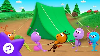 Camping Day 🏕️ Camping Song 🦋 BOOGIE BUGS 🐞 PREMIERE 🎵  More Kids Songs  Toddler Learning [upl. by Aihcats999]