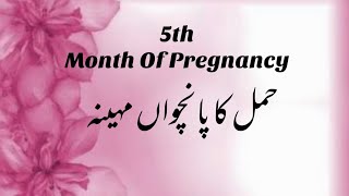 5th Month Of Pregnancy 5th Month Pregnancy Symptoms  Baby In 5th Month  Baby Development [upl. by Sidonie]