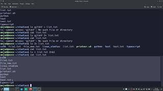 لينكس بالعربي Linux redirecting stdout and stderr noclobber tee command [upl. by Sidky]