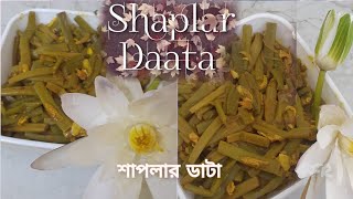 Shaplar Daata I শাপলার ডাটা [upl. by Stanwinn]