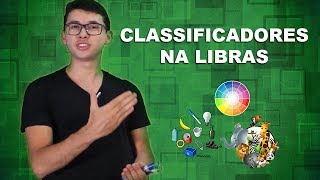 O QUE SÃO OS CLASSIFICADORES NA LIBRAS  DANRLEY OLIVEIRA [upl. by Llerdnek]