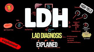 LACTATE DEHYDROGENASE Clinical significance Why LDH increase [upl. by Lesly609]