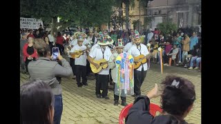 folia de reis viagem três Reis magos [upl. by Keyte335]