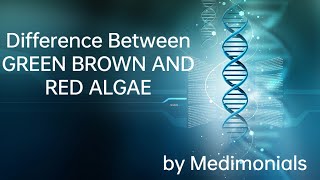 Difference between ChlorophyceaePheophyceae and Rhodophyceae  Plant kingdom Algae [upl. by Dihahs]