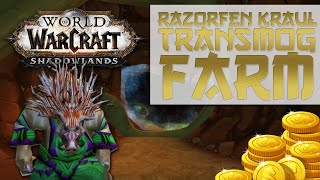 WoW Shadowlands Transmog Farm  Razorfen Kraul  Dungeon Transmog Farm [upl. by Naeerb169]