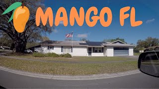 🥭MANGO FLORIDA SUBURB 2021 [upl. by Annabela]