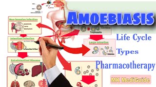 Amoebiasis Pathophysiology Life cycle amp Pharmacotherapy  Pharmacology [upl. by Correna708]