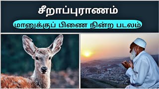 மானுக்குப் பிணை நின்ற படலம்கதை சீறாப்புராணம்manuku pinai nindra padalam storyserapuranam [upl. by Notnad458]