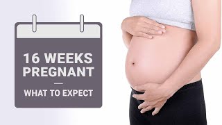 16 Weeks Pregnant  What to Expect [upl. by Ciryl]