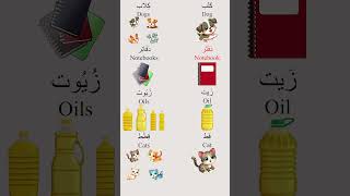 Broken Plural in the Arabic Language4 [upl. by Aerb]