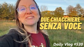 SONO RIMASTA SENZA VOCE  Daily Vlog 530 [upl. by Callista]