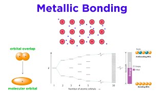 Metallic Bonds [upl. by Atiuqal]