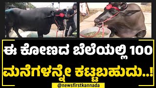 Buffalo Anmol  ಈ ಕೋಣದ ಬೆಲೆಯಲ್ಲಿ 100 ಮನೆಗಳನ್ನೇ ಕಟ್ಟಬಹುದು  Krishi Mela  NewsFirst [upl. by Mena888]