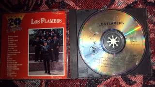 EL TIZON LOS FLAMERS [upl. by Malynda45]