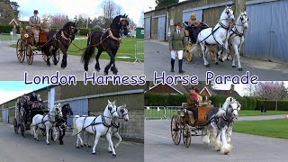 London Harness Horse Parade Ardingly 2024 [upl. by Jeminah]