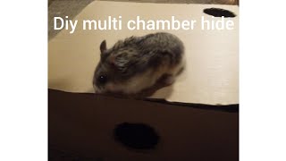 How to make a multi chamber hide for a hamster 🐹 [upl. by Yasdnil]