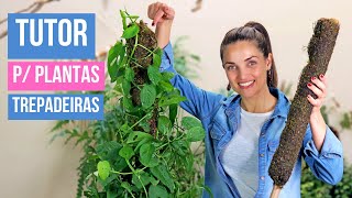 COMO DEIXAR suas PLANTAS trepadeiras LINDAS e CHEIAS 🌿 APRENDA a FAZER um TUTOR SIMPLES e BARATO [upl. by Samot]