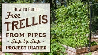 ★ How to Make A Free Trellis from Pipes A Complete Step by Step Guide [upl. by Labotsirc]