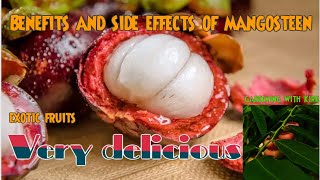 Benefits and side effects of Mangosteen [upl. by Aihtyc]