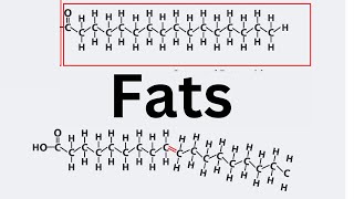 Intro to Saturated Fats Unsaturated Fats and Trans Fats [upl. by Kampmeier828]