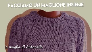 come fare un maglione con il collo rotondo e la manica raglan decorata con la treccia [upl. by Gulgee581]