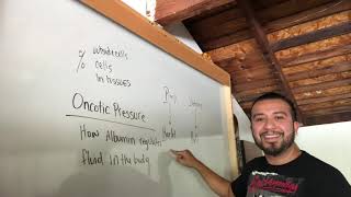 Learn NCLEX Now Oncotic Pressure Pimps and Harlots [upl. by Brannon474]