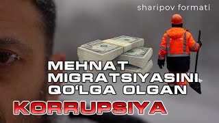 Yaponiyaga ishga borish sohasini ham korrupsion mafiya qo‘lga olmoqchi [upl. by Enilesoj]