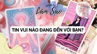 TIN VUI NÀO ĐANG ĐẾN VỚI BẠN Lâm Sao Tarot đang phát trực tiếp [upl. by Sello20]