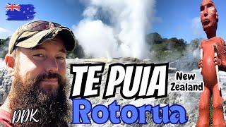 Te Puia Rotorua New Zealand  Geothermal amp Maori Cultural Park [upl. by Ainel]