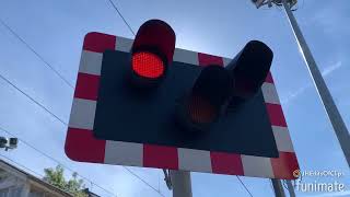 Car goes through the crossing while barrier go down  loads of misuse Highams Park Level Crossing [upl. by Eirroc]