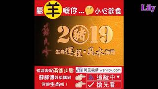 Peter So Man Fung  2019 Animals Sign Forecast 蘇民峰本尊發佈 2019豬年12生肖運程完整版 [upl. by Ijic]