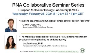 RNA Collaborative  European Molecular Biology Laboratory EMBL February 28 2024 [upl. by Ainud671]