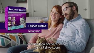 FELIWAY Classic  Felices Juntos [upl. by Herby]