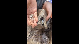 Digging Herkimer Diamonds Uncovering Herkimer Diamond Quartz matrix piece miningcrystals treasure [upl. by Eremahs640]