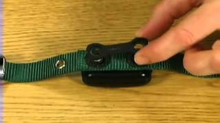 DogWatch®  How does the receiver attach to the collar [upl. by Baras195]