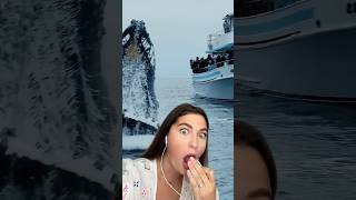 OHAAAA 😦😦😦 whale wale viral ocean react reaction reacts [upl. by Osmo108]