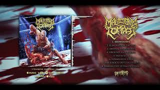 MALICIOUS COMBAT  The KnockOut Fulfilment  FULL STREAM  BRUTAL MIND [upl. by Ahsyas]