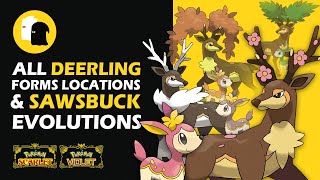 All DEERLING FORMS Locations amp SAWSBUCK Evolutions Pokemon Scarlet and Violet ALL SEASONS [upl. by Ydarb]