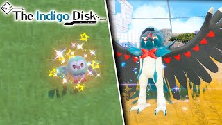 NEW EASY SHINY ROWLET EXPLOIT IN POKEMON VIOLET Best Location Shown  Indigo Disk DLC [upl. by Akemahs]