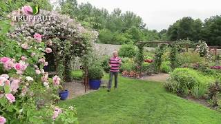 Calendrier du jardinier juillet  que faire au jardin ou sur la terrasse  Truffaut [upl. by Savior]