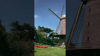 Queen Wilhelmina Tulip Garden Windmill San Francisco california [upl. by Ardnoek515]