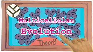 Experimental Evolution of Multicellularity [upl. by Stefa80]