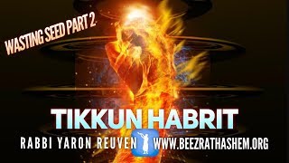 TIKKUN HaBRIT WASTING SEED PART 2 [upl. by Milo740]