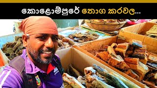 රටවටේ යන තොගකරවල  Dry fish Importers  Exporters  Wholesalers  කරවල තොග මිල 🇱🇰💰🦈 [upl. by Daj2]