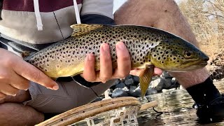 Fishing Brodhead Creek in Eastern PA  November 2024 Trout Fishing [upl. by Marielle]